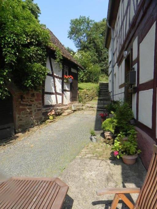 Ferienwohnung Tiererlebnishof Obermuehle Biebergemund Extérieur photo